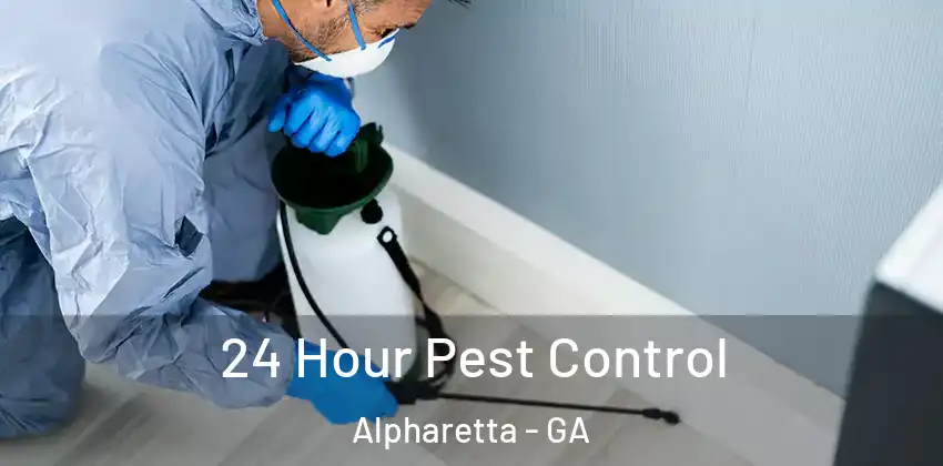 24 Hour Pest Control Alpharetta - GA