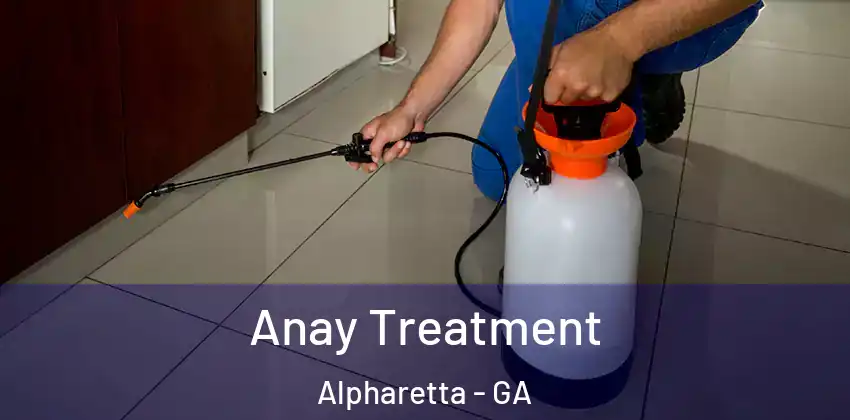 Anay Treatment Alpharetta - GA