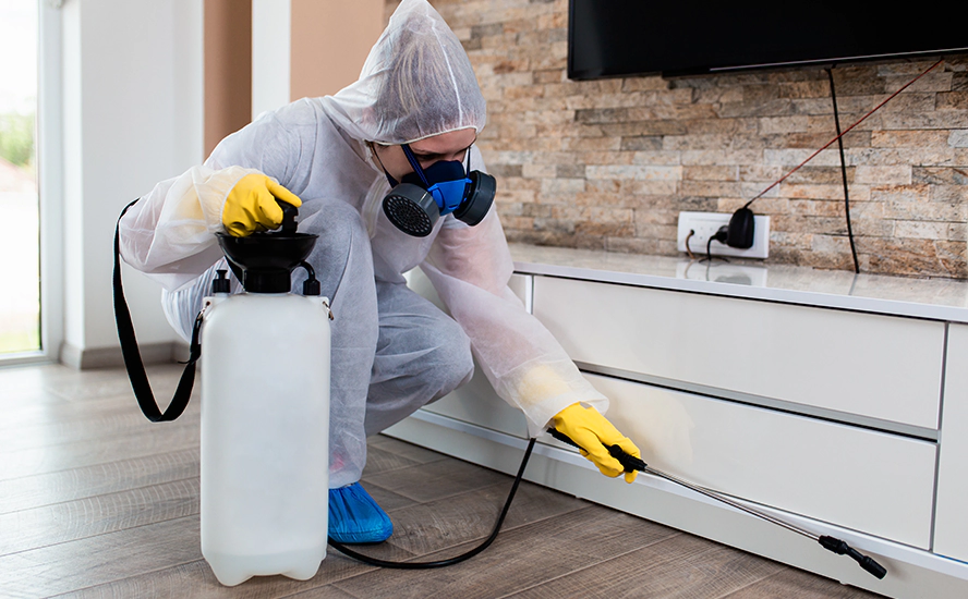 Our Proven Flea Infestation Treatment in Alpharetta