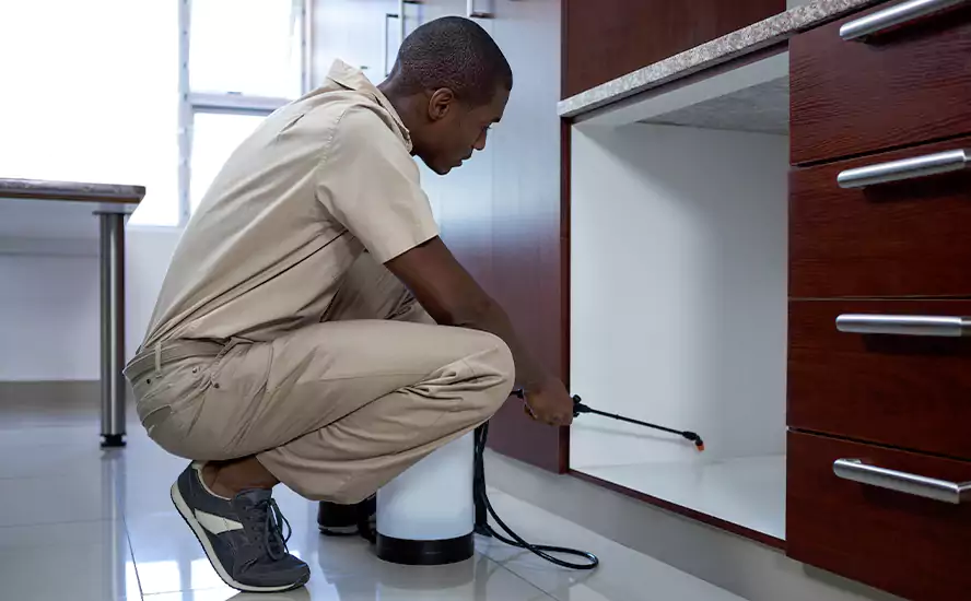 Top-Notch Pest Control in Alpharetta