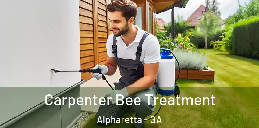 Carpenter Bee Treatment Alpharetta - GA