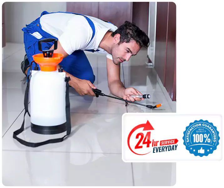 Year-Round Pest Prevention Plans in Alpharetta