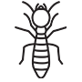 Termites Pest Control Alpharetta, Georgia