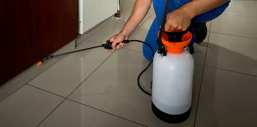 anay-treatment in Alpharetta, GA