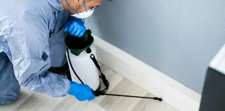 Anay Treatment for Bedrooms Alpharetta, GA