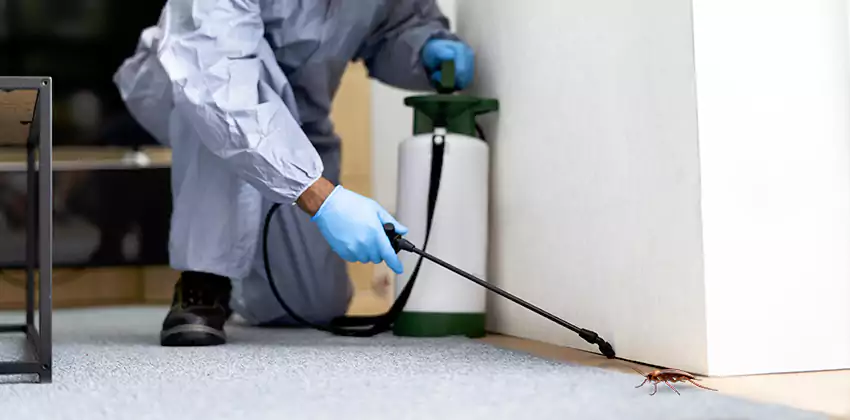 Residential Cockroach Treatment for Bedrooms in Alpharetta, GA
