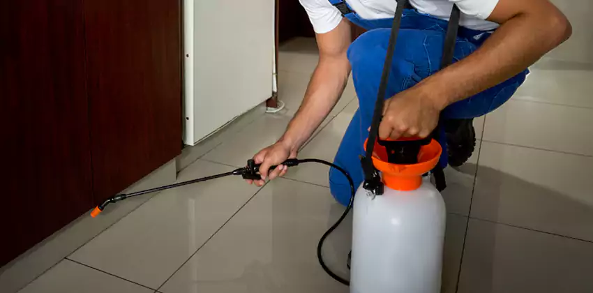Commercial Flea Exterminator Company in Alpharetta, GA
