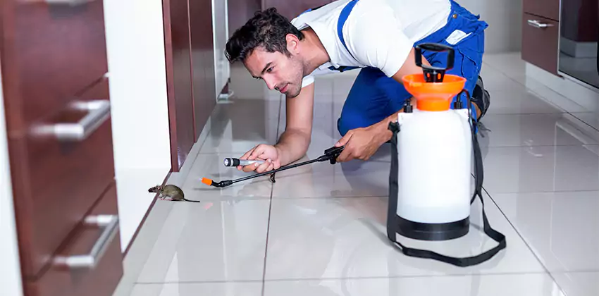 rat-inspection in Alpharetta, GA