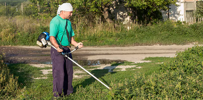 tick-treatment-for-yard in Alpharetta, GA