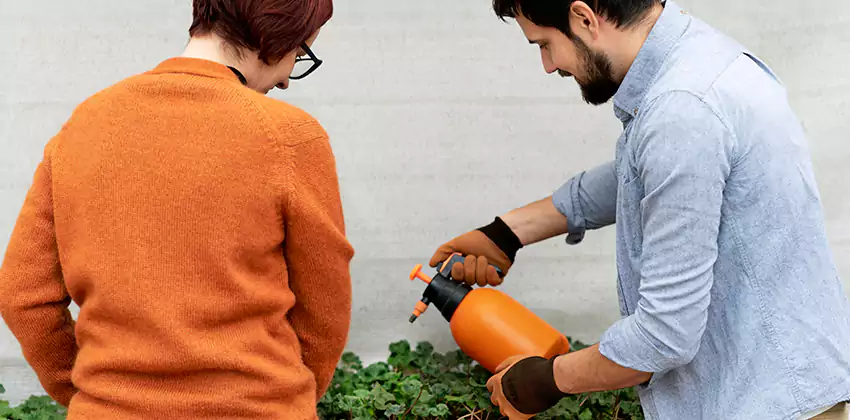 whitefly-treatment in Alpharetta, GA