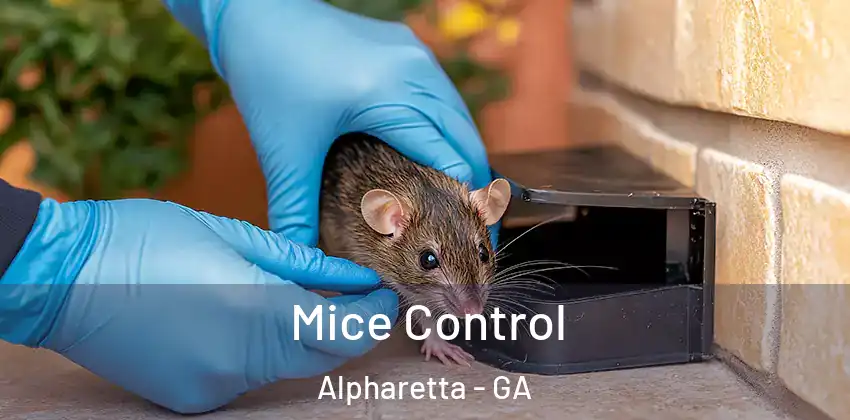  Mice Control Alpharetta - GA