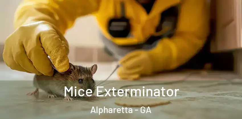  Mice Exterminator Alpharetta - GA