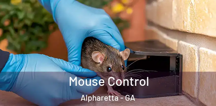  Mouse Control Alpharetta - GA