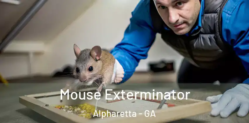  Mouse Exterminator Alpharetta - GA