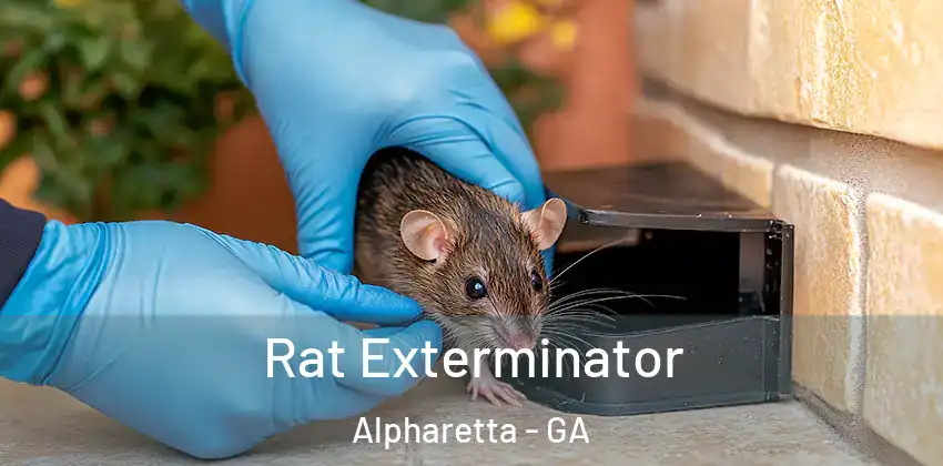 Rat Exterminator Alpharetta - GA