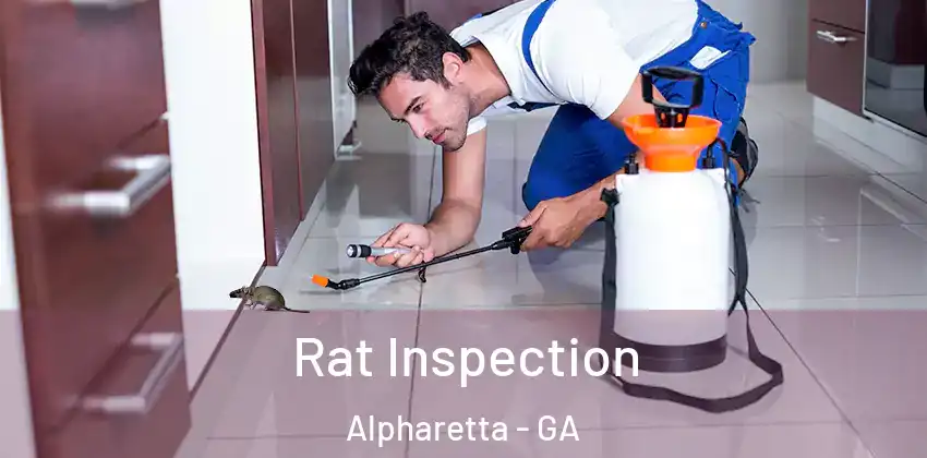 Rat Inspection Alpharetta - GA