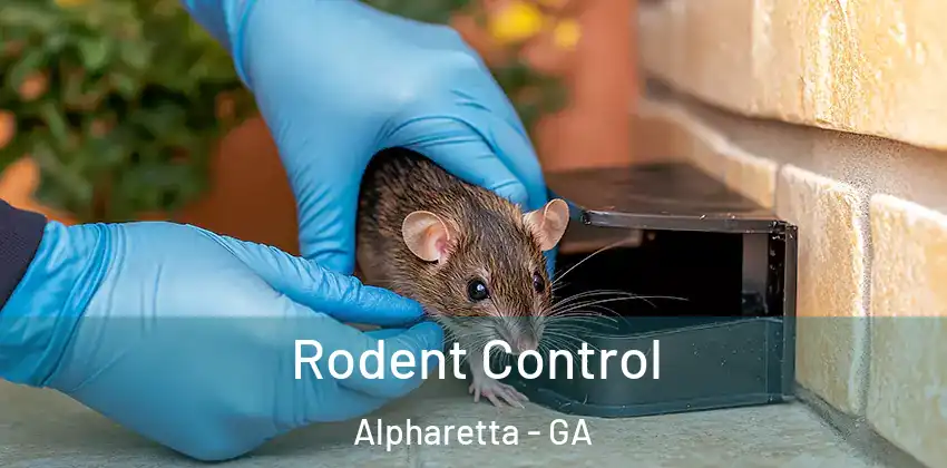  Rodent Control Alpharetta - GA