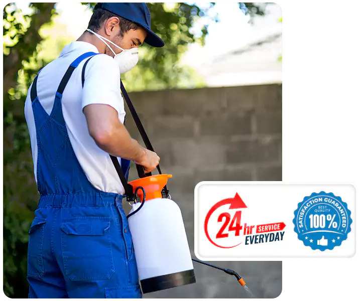 About Grub Treatment Alpharetta