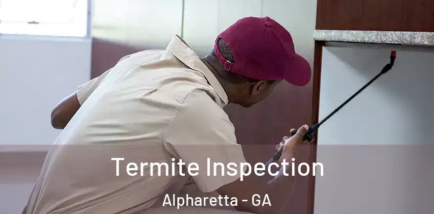 Termite Inspection Alpharetta - GA
