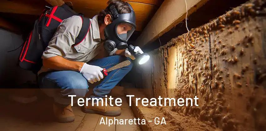 Termite Treatment Alpharetta - GA